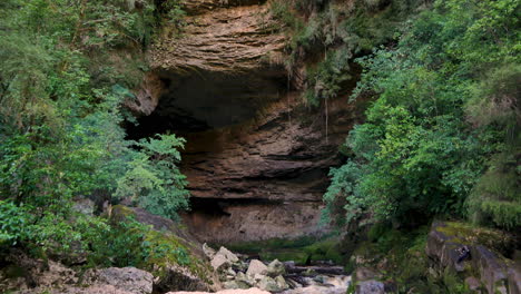 tilt down shot of rocky cliff wall in rainforest with idyllic stream flowing between stones