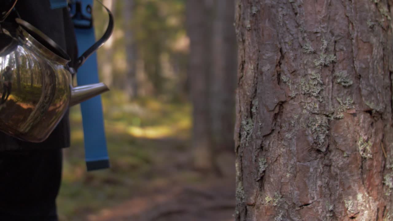 숲과 가을 슬로우 모션 분위기를 반영한 금속 빛나는 차 주전자