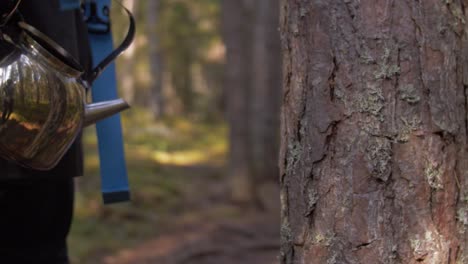Metal shiny tea pot with reflection of the forest and autumn slow motion atmosphere