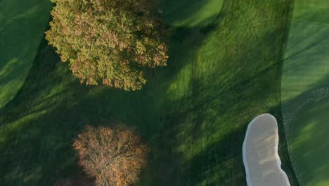 top down aerial of golf course fairway and green in autumn, colorful fall trees, drone shot