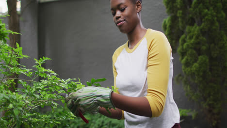 african american woman wearing gardening gloves cutting leaves of plants in the garden