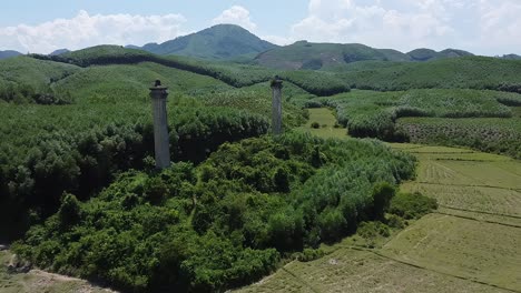 越南農村風景中兩座石柱從森林中突出而出