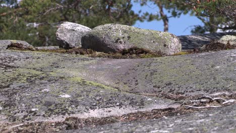 bedrock, granite in finland