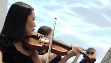 violinists in orchestra performance