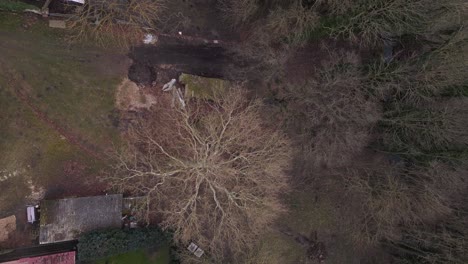 Amazing-aerial-view-flight-dilapidated-Manor-house-Lüssow-Mecklenburg-Western-Pomerania-germany-winter-2023