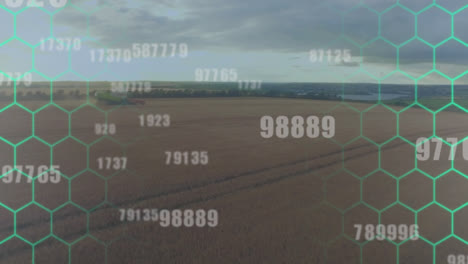 animación de números sobre el campo