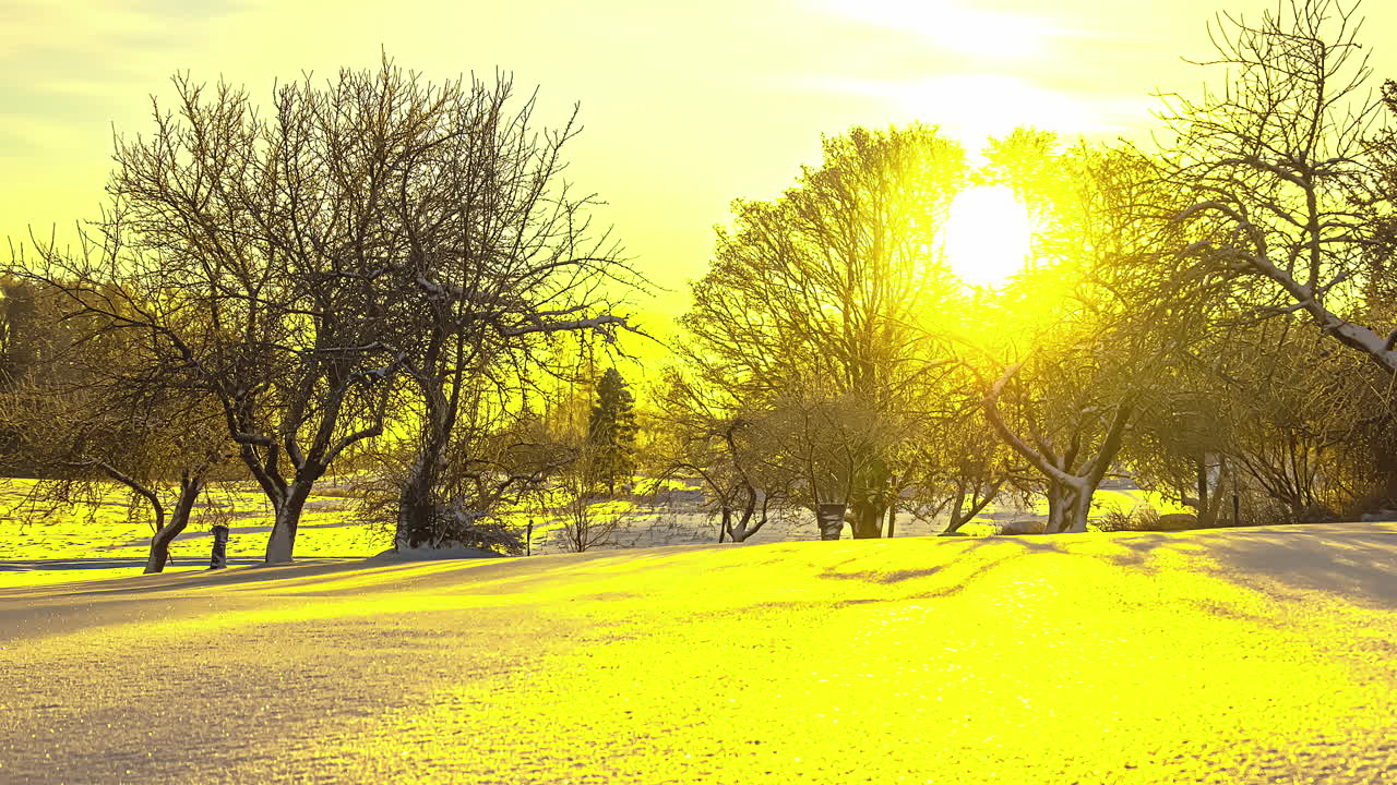 золотой закат между лесом над зимой чудесный снежный пейзаж в сельской местности