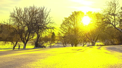 Goldener-Sonnenuntergang-Zwischen-Wald-Und-Winterwunderland,-Verschneite-Landschaft-Im-Ländlichen-Gebiet