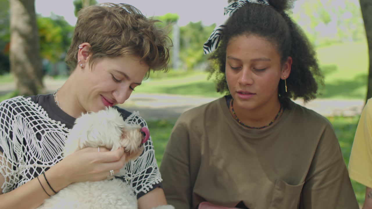 Friends Petting Lovely Dog in Park