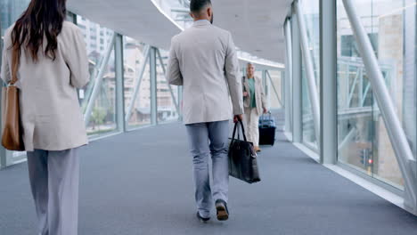 Airport,-walking-and-back-of-business-people