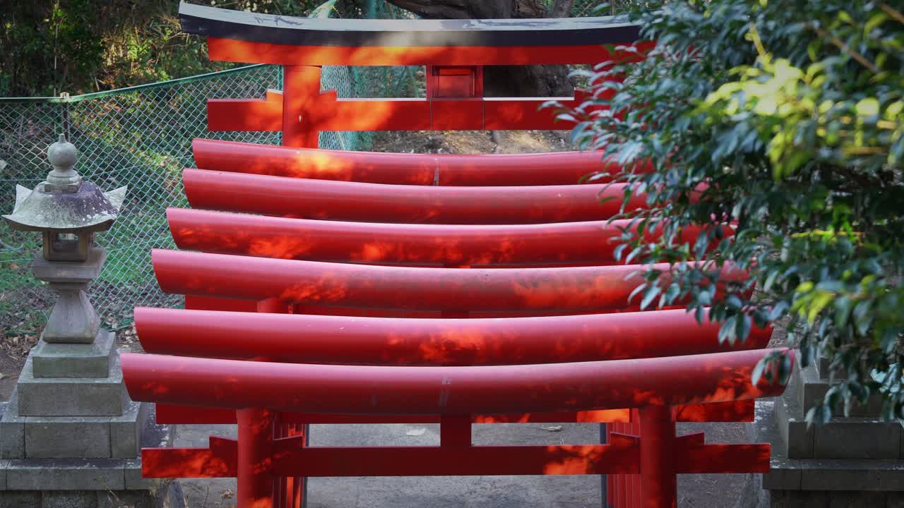 Torii Gates Aligned in a Straight Line