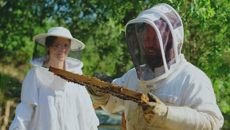 beekeepers inspecting a beehive frame