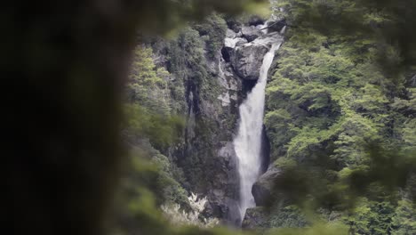 beautiful waterfall in the middle of a forest