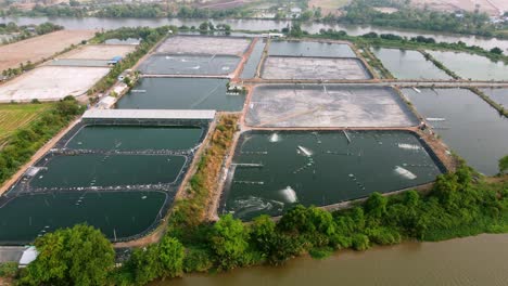 Kraftwindmühlen-Leiten-Sauerstoff-In-Den-Teich