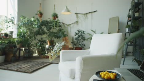 living room with biophilic interior