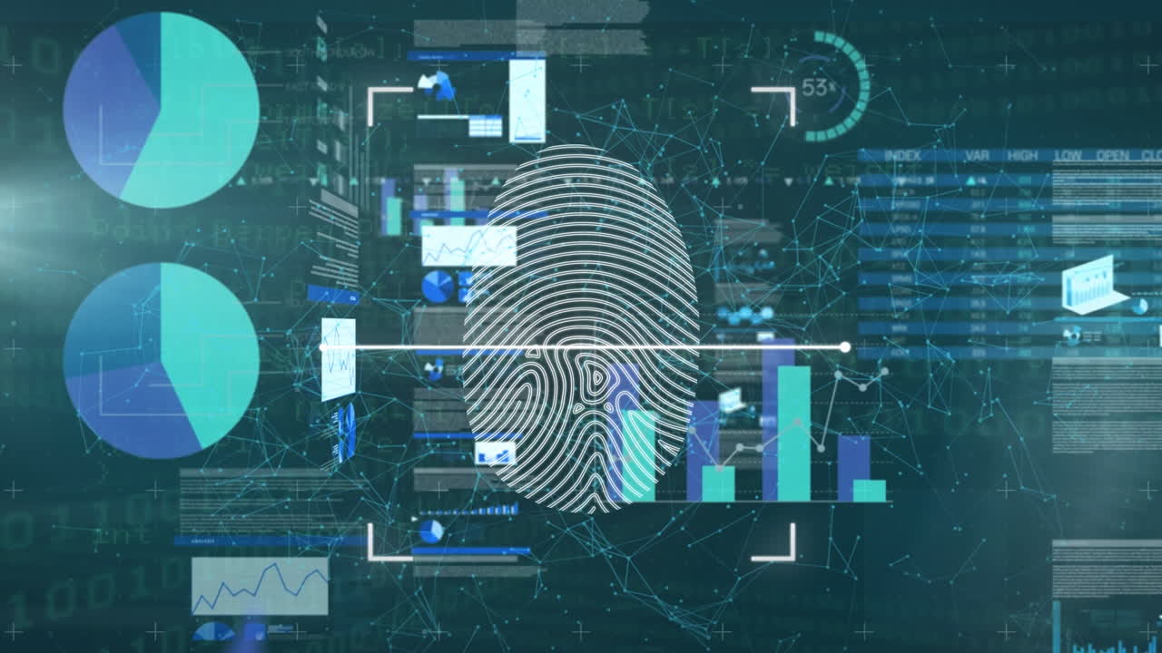 Animation of data processing and biometric fingerprint