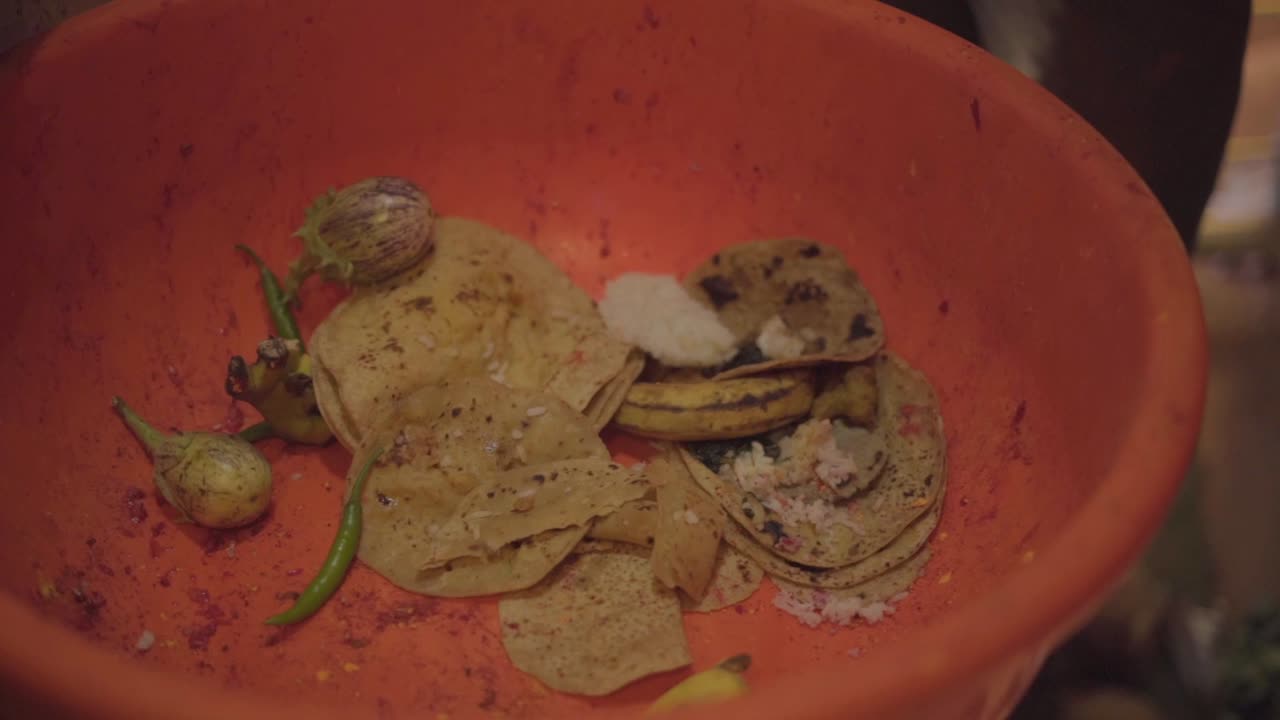 dios prasadi alimento para animales