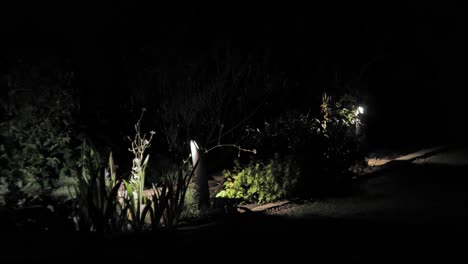 outside light in garden at night