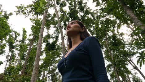 retrato de una mujer asiática mirando alrededor de los árboles en el bosque tropical