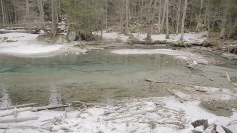 Woods-with-snow-and-a-pond-pan-left-right-4k-Sony-a6300-25p-S-Log2