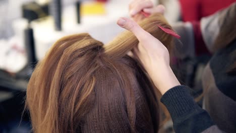 stylist combing hair of female client in professional hair salon. beauty and haircare concept