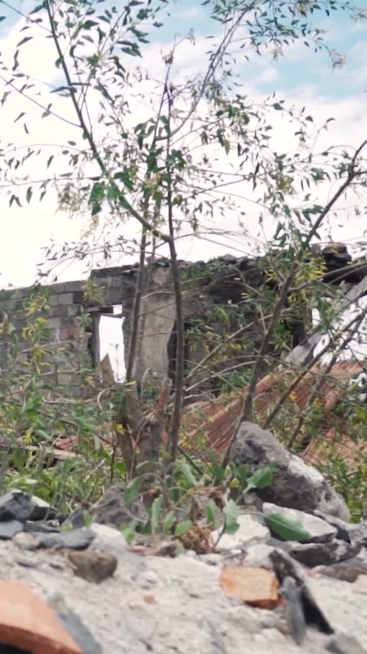 edificio en ruinas con techo y vegetación dañados