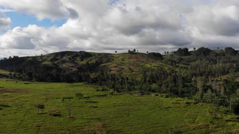 empuje aéreo en colinas verdes con jardines tradicionales de patchwork, papúa nueva guinea