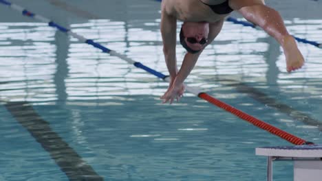 swimmer diving into the pool