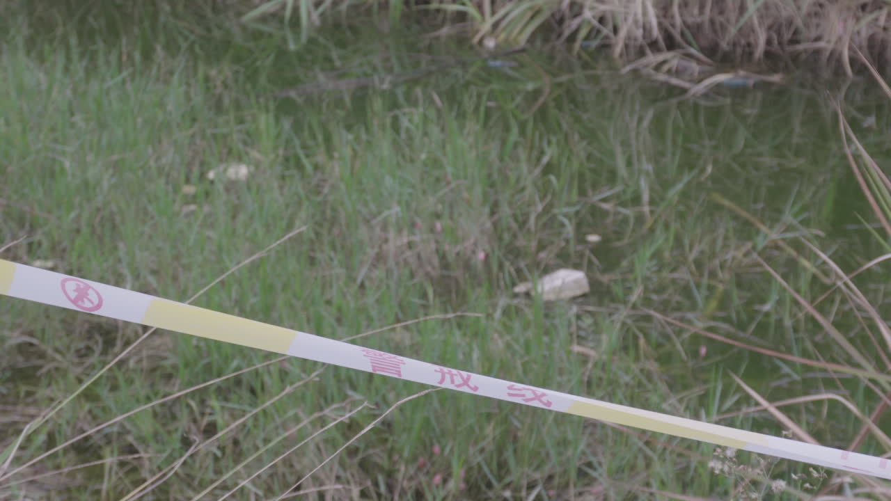 사고 후 수영장 주변에 코든이 설치되었습니다.