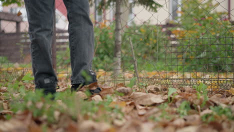 side leg view of child holding stick scattering dry autumn leaves on forest floor surrounded by vibrant foliage, with blurred bar fence and building in background