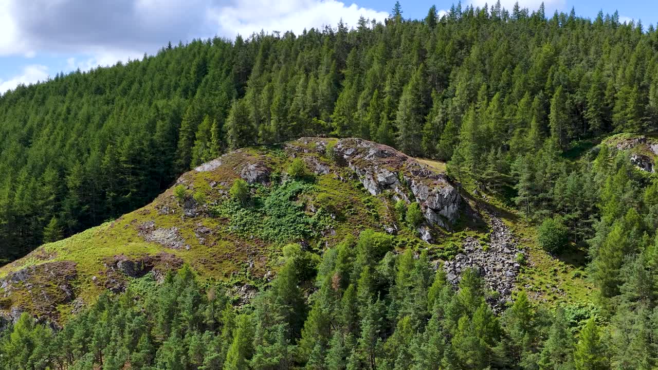 Drone camera smoothly pans across lush pine forest, rocky hills, and green valley under daylight