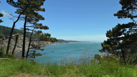 scenic view of calm blue sea and sky with surrounding green foliage in cape arago in oregon on nice summer day - panning shot