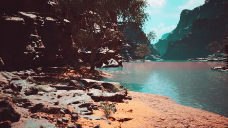 Bäume-In-Der-Nähe-Des-Colorado-River-Im-Grand-Canyon