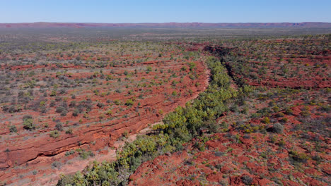 Palm-Valley-Drone-Footage-Northern-Territory-Australia