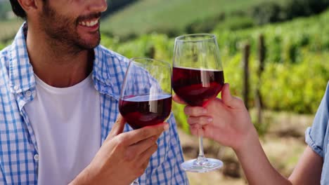 pareja brindando copas de vino en la granja
