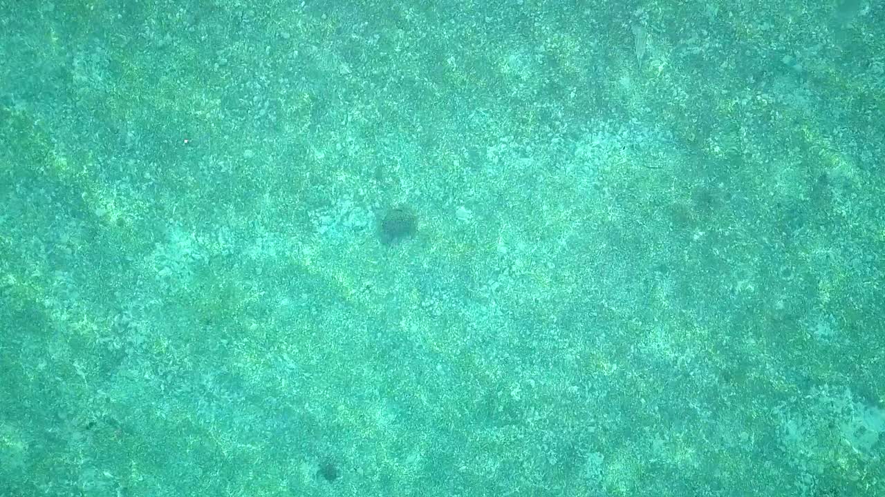 말레이시아의 맑고 투명한 물과 거북이 위의 공중 비행, 장거리 새의 눈 관점이 하강하고 느린 동작으로 회전