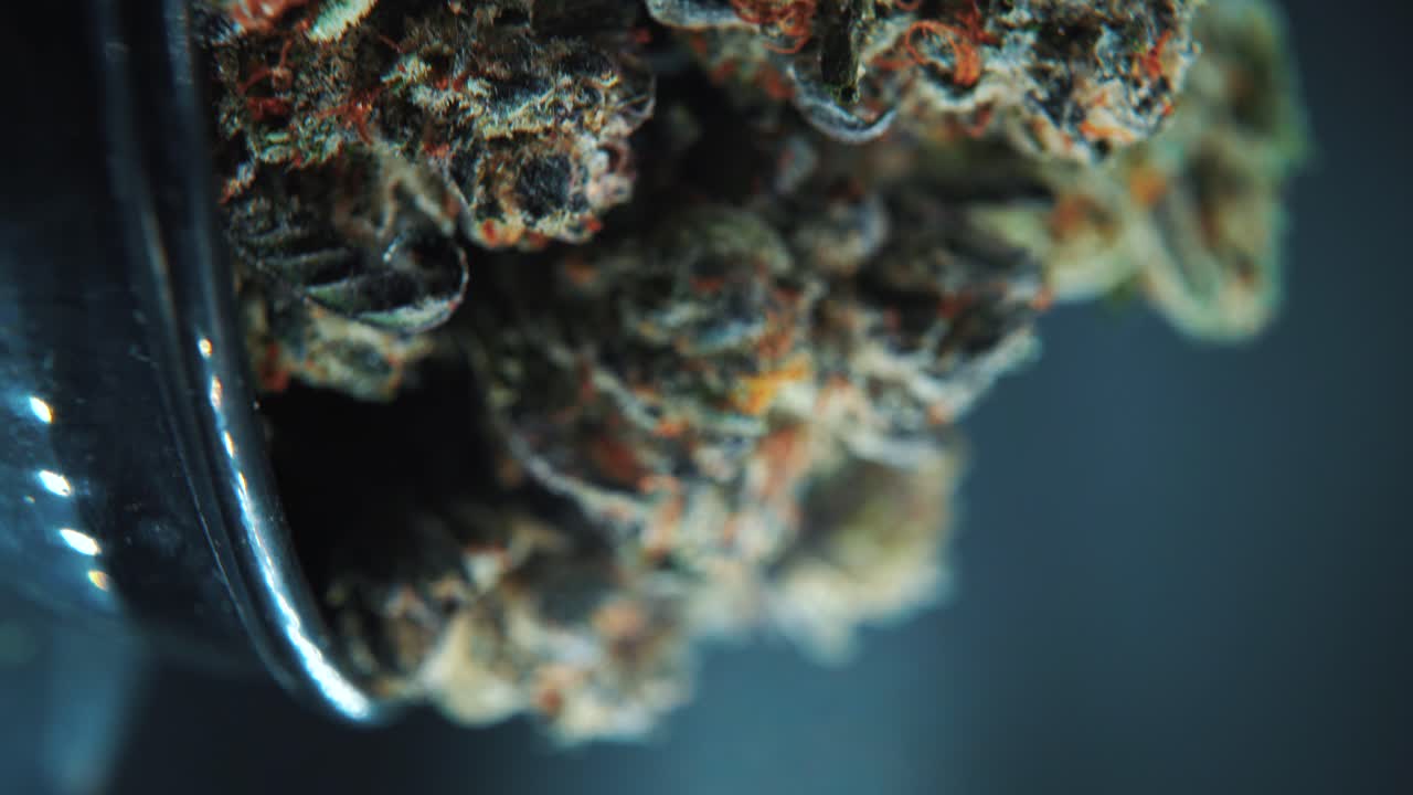 A vertical macro close up cinematic shot of a cannabis plant, hybrid strains, Indica and sativa ,marijuana flower, on a 360 rotating stand in a shiny bowl, slow motion, 4K Video
