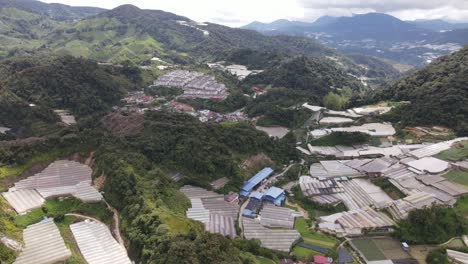 vista general del paisaje del distrito de brinchang dentro del área de cameron highlands de malasia