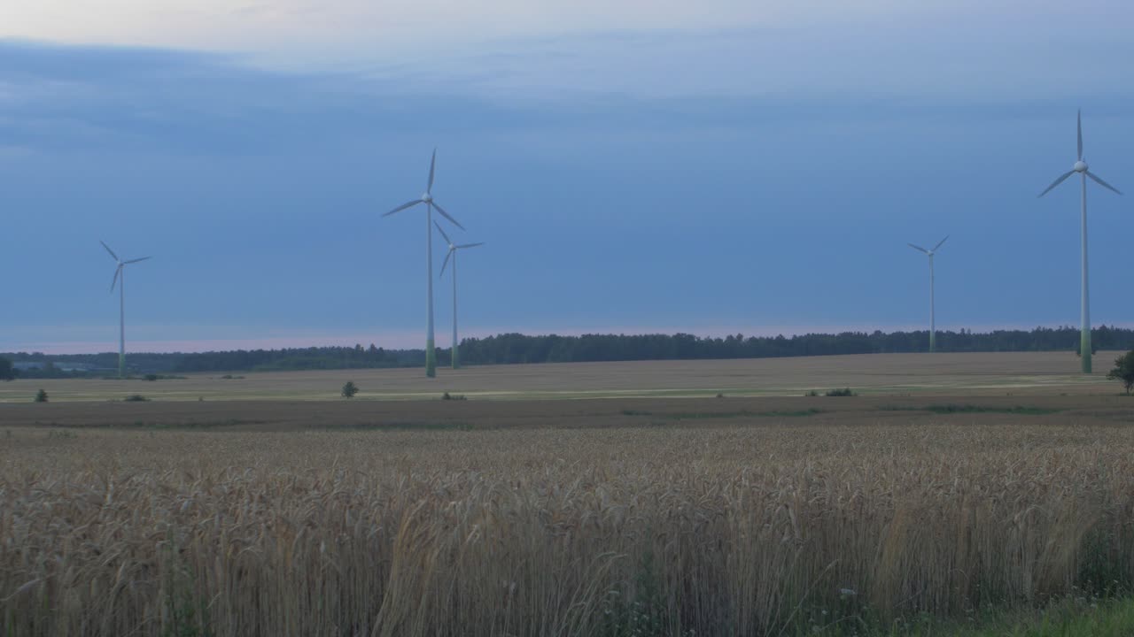 아름다운 일몰에서 녹색 생태 세계를 위한 재생 에너지를 생산하는 풍력 터빈 농장, 전경에 있는 잘 익은 황금 밀밭, 와이드 샷