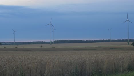 Granja-De-Turbinas-Eólicas-Que-Produce-Energía-Renovable-Para-Un-Mundo-Ecológico-Verde-En-La-Hermosa-Puesta-De-Sol,-Campo-De-Trigo-Dorado-Maduro-En-Primer-Plano,-Plano-General