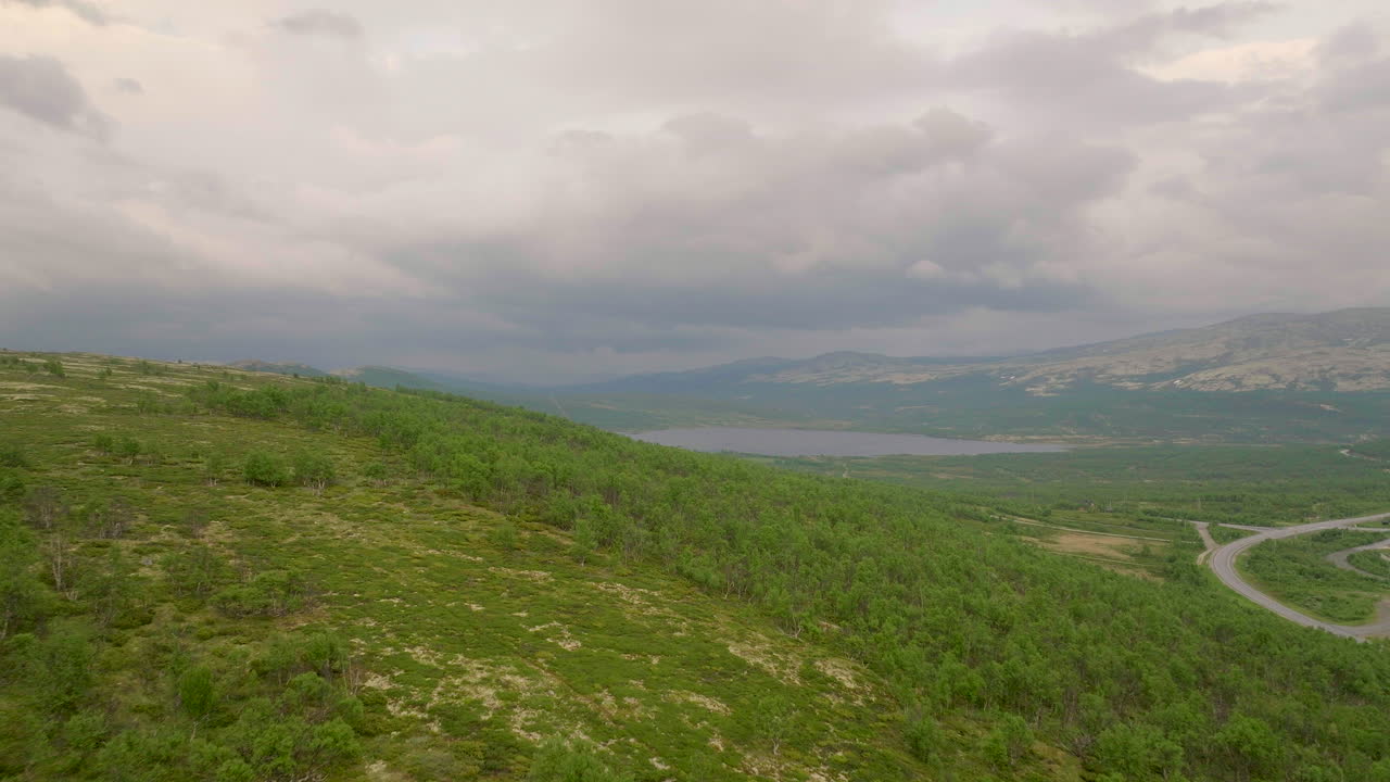 vegetación verde en la colina en el parque nacional dovrefjell con nubes dramáticas, antena