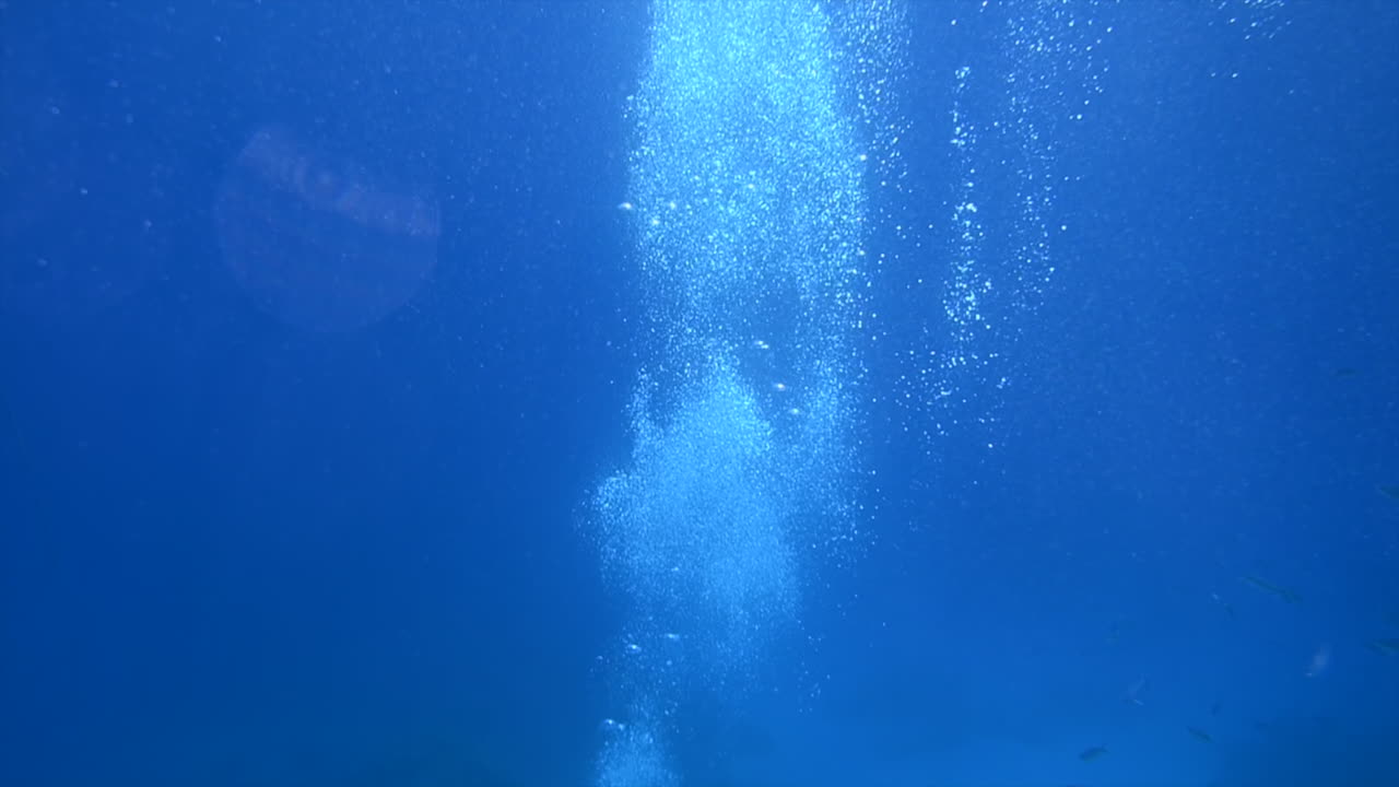 Divers swimming and exploring in the red sea