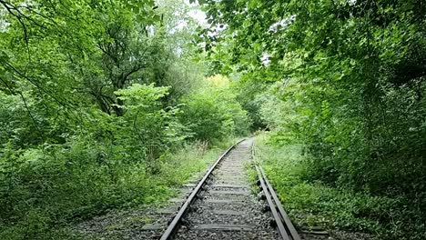 old rusty abandoned railroad tracks leading through dense overgrown woodland forest trees