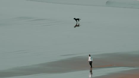 Ein-Hund,-Der-Mit-Seinem-Meister-In-Zeitlupe-Am-Strand-Läuft-Und-Spaß-Hat