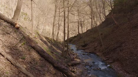 a serene forest stream flowing through a wooded valley on a sunny autumn day