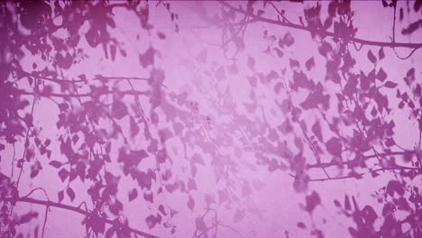 Silhouetted-Foliage-Against-a-Purple-Background