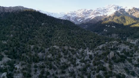 Grüne-Bäume-Bedecken-Den-Berggipfel