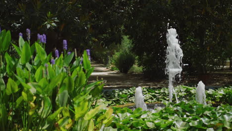 Wasser,-Das-Aus-Dem-Brunnen-Im-Grünen-Botanischen-Garten-Entspringt---Zeitlupe