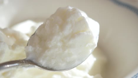 spoonful of white frozen yogurt