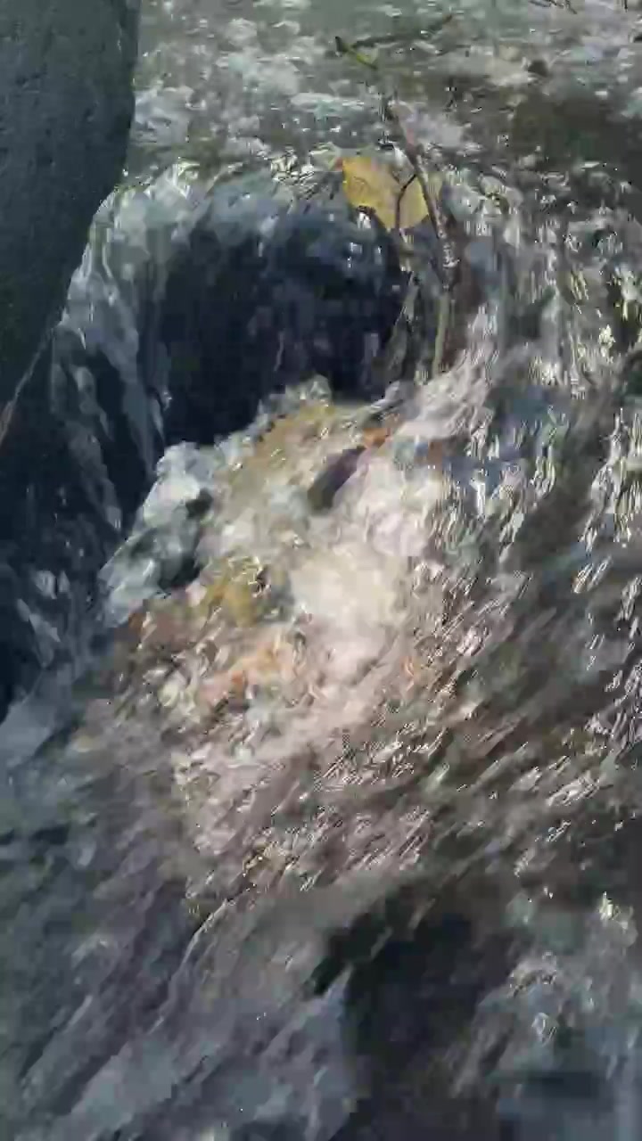 Foglie morte intrappolate in un piccolo vortice di ruscello.